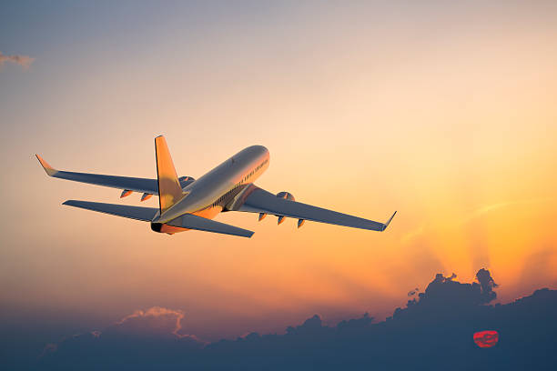 https://ia600609.us.archive.org/20/items/booking-tips/united-airlines-senior-discount-benefits-age-limit-booking-tips-2026.pdf